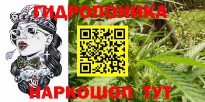 МДПВ Рыбинск
