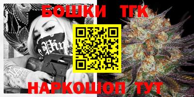 МДПВ Рыбинск