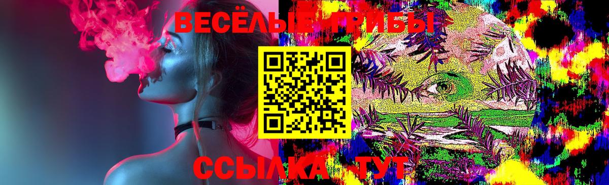 Нижний Тагил  Галлюциногенные грибы Psilocybe  Вход с VPN 